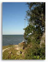 Garden wind sensor in Florida